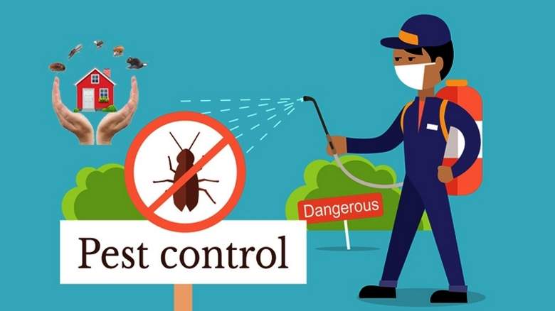 Pest Control 